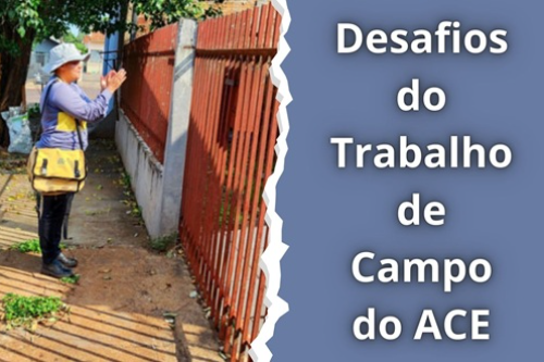 Desafios do Trabalho de Campo do ACE