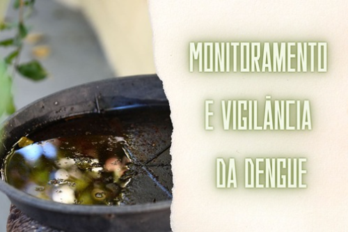 Prevenção e Combate da Dengue