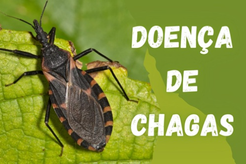 Doença de Chagas e Saúde Pública