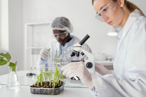 Agroquímica