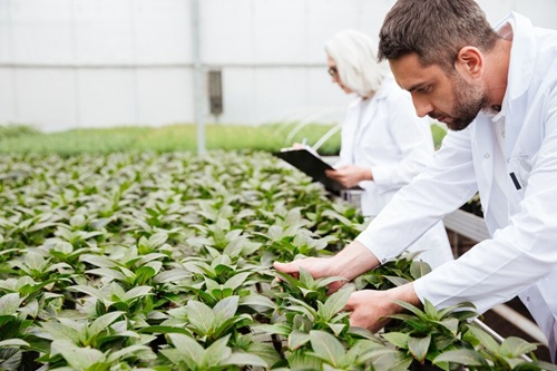 Introdução à Engenharia Agrícola