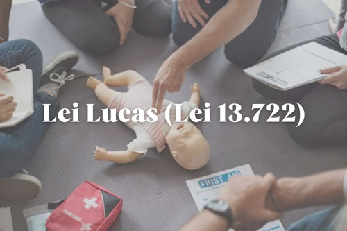 Lei Lucas (Lei 13.722)