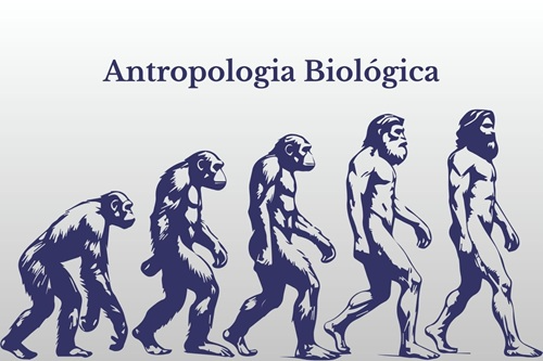 Antropologia Biológica
