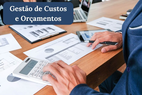 Gestão de Custos e Orçamentos