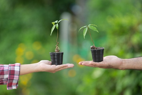 Arbitragem Ambiental